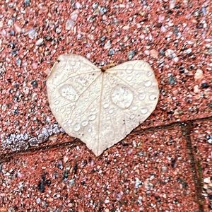 Meet your Posher, Seth